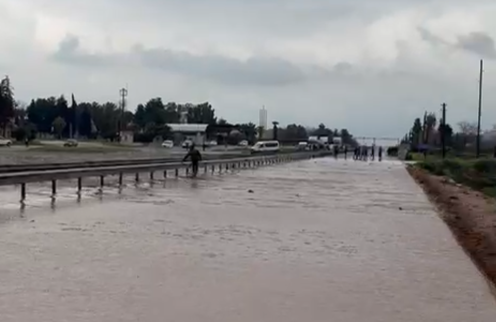 Selden Kaçarken Trafik Cezası Yedi! Gurbetçinin Mücadelesi 001