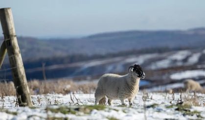 Kuzey İngiltere’de Yeni Yıl soğuğu uyarısı