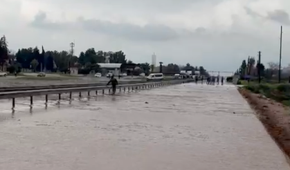 Selden kaçarken trafik cezası yedi! Gurbetçinin mücadelesi