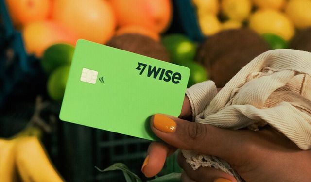 Wise Hakkında Kara Para Aklama İncelemesi