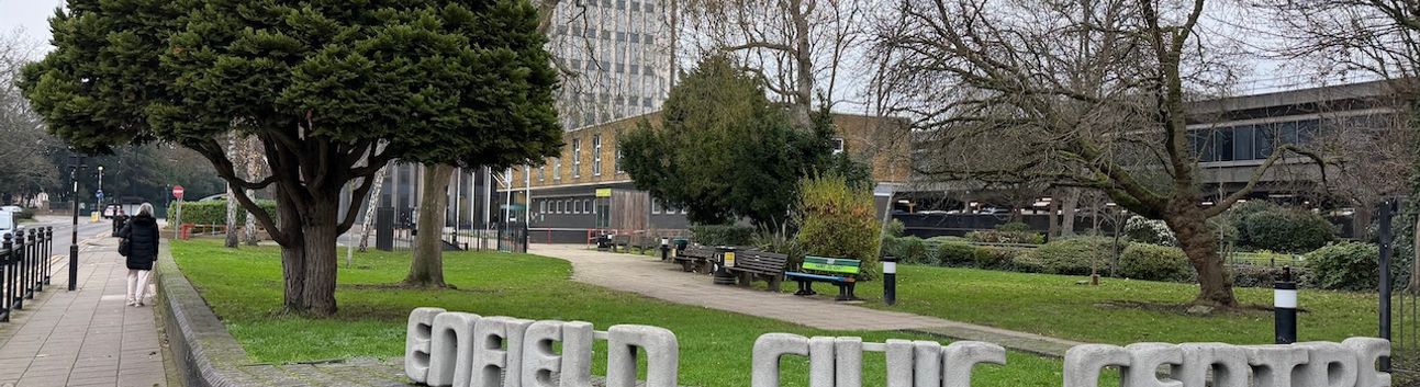 İngiltere Siyasetine Yön Verenler, Ergin Erbil